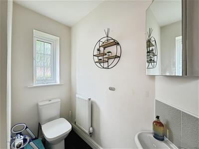 Picture 7